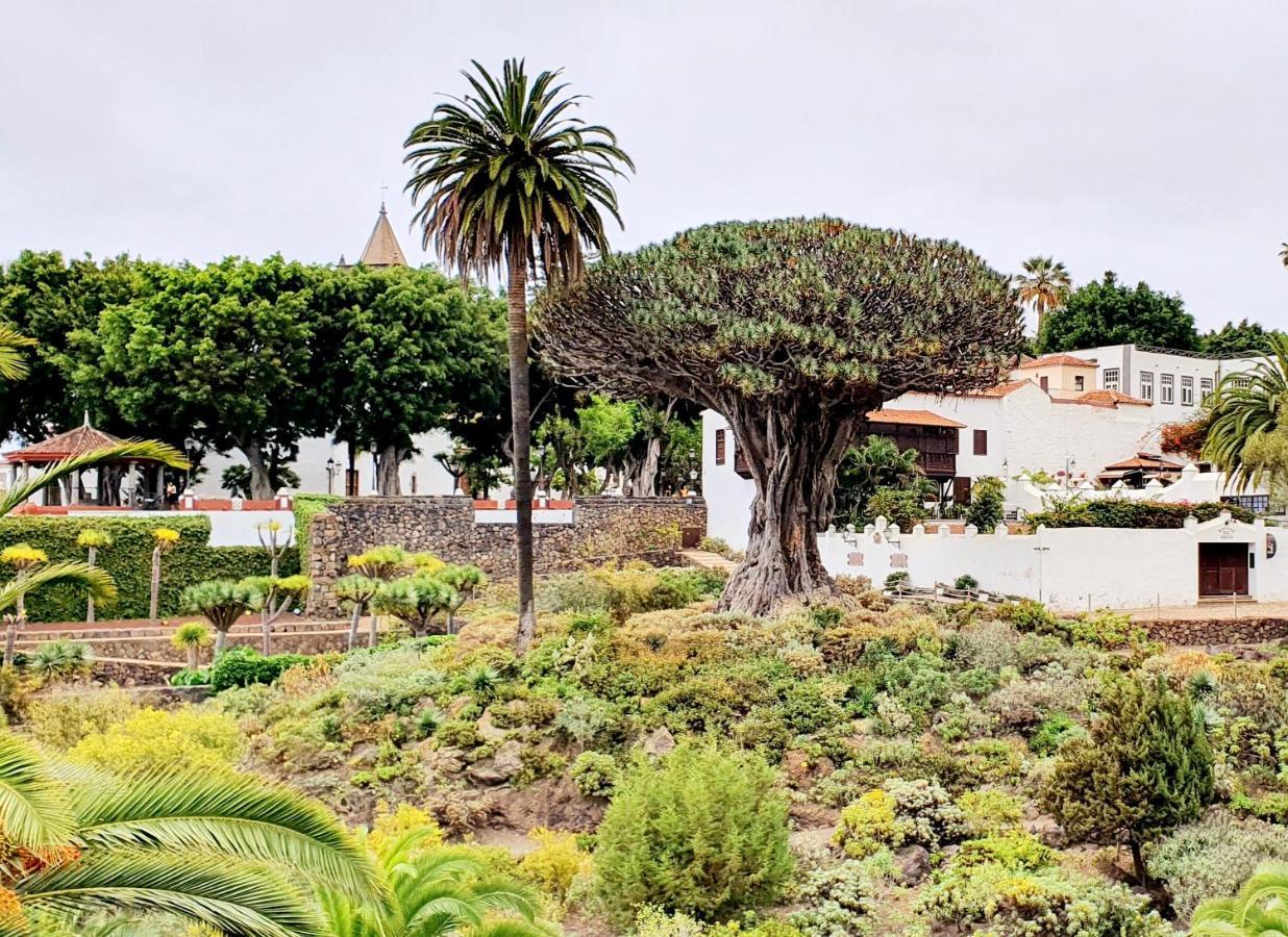 Luis Estudio Adeje Tenerife Sur By Hrtenerife Net アデヘ エクステリア 写真