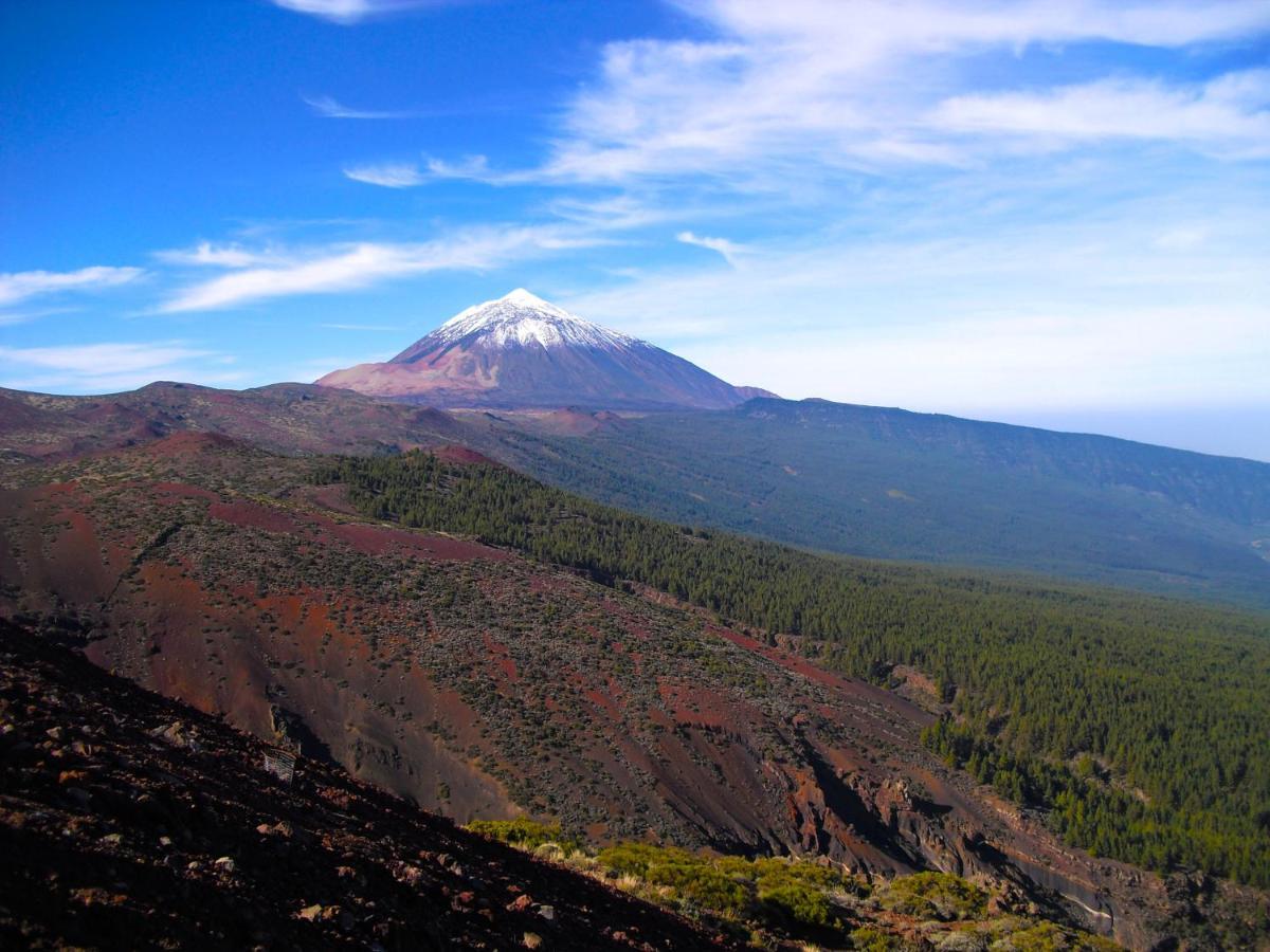 Luis Estudio Adeje Tenerife Sur By Hrtenerife Net アデヘ エクステリア 写真